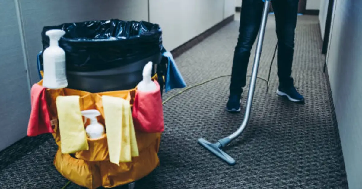 Carpet Sanitization