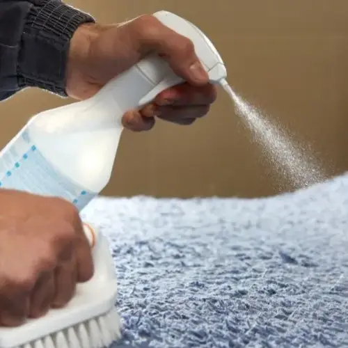 Rug Cleaning
